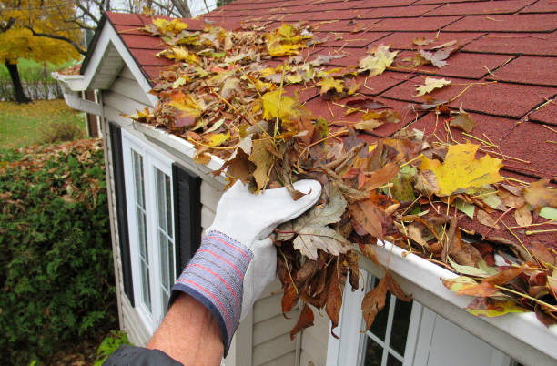 Residential Cleaning Services