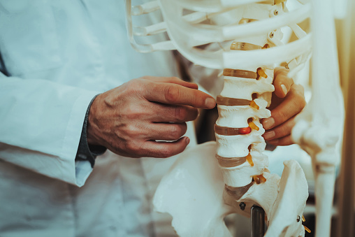 Orthopedic specialists