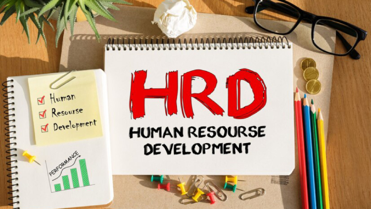 hr management tools