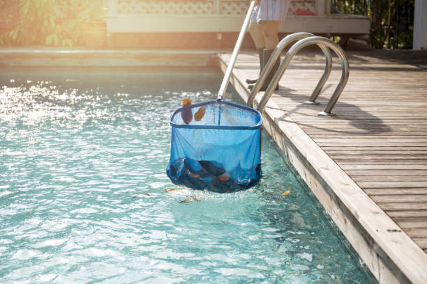 swimming pool cleaning services