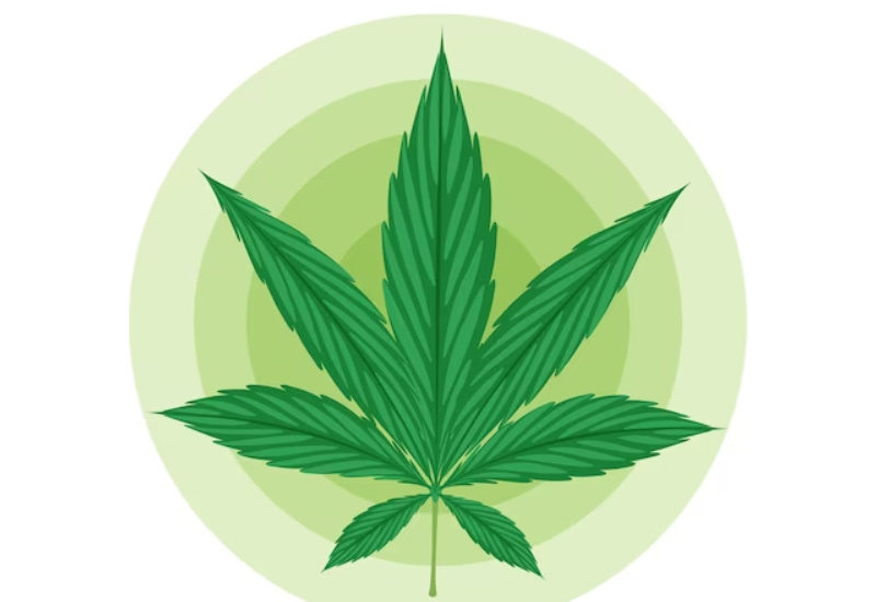 medical marijuana card