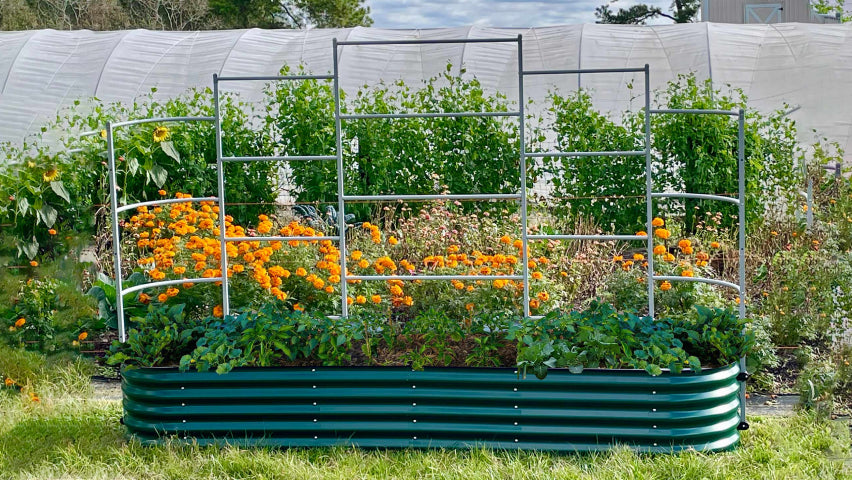galvanized raised bed planter