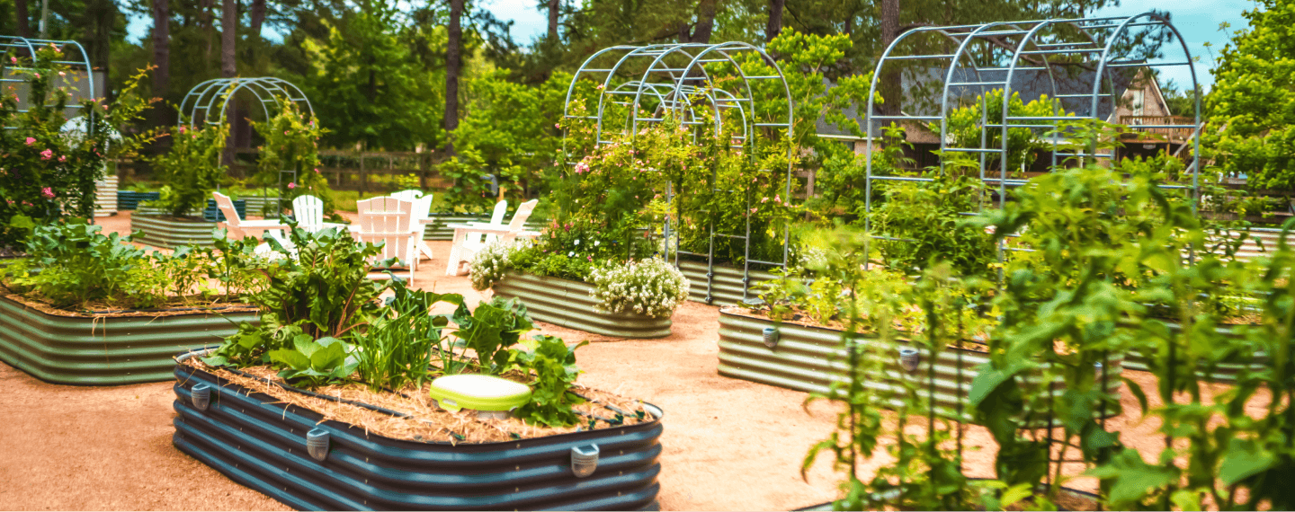 galvanized raised bed planter
