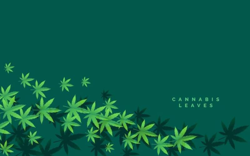 cannabis card naples
