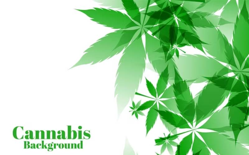 cannabis card naples