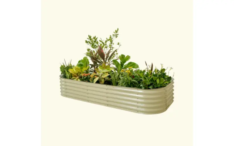 raised garden beds