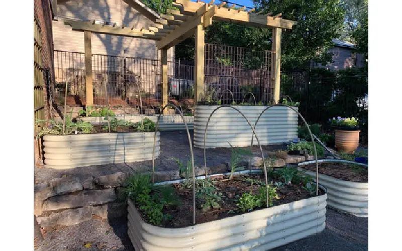raised garden beds