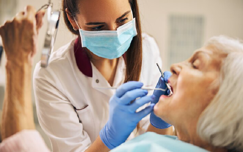 dentist in tampa florida