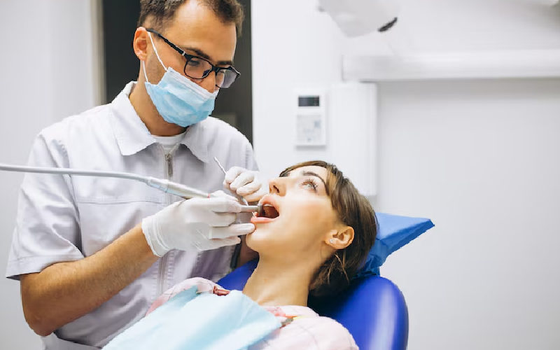 dentist in tampa florida