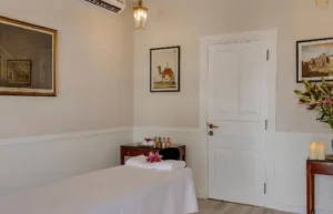 luxury villas in anjuna goa
